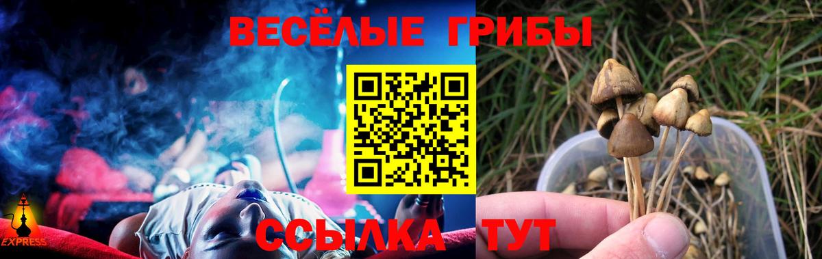 Верхняя Салда  Галлюциногенные грибы Cubensis  где продают   Вход с VPN 